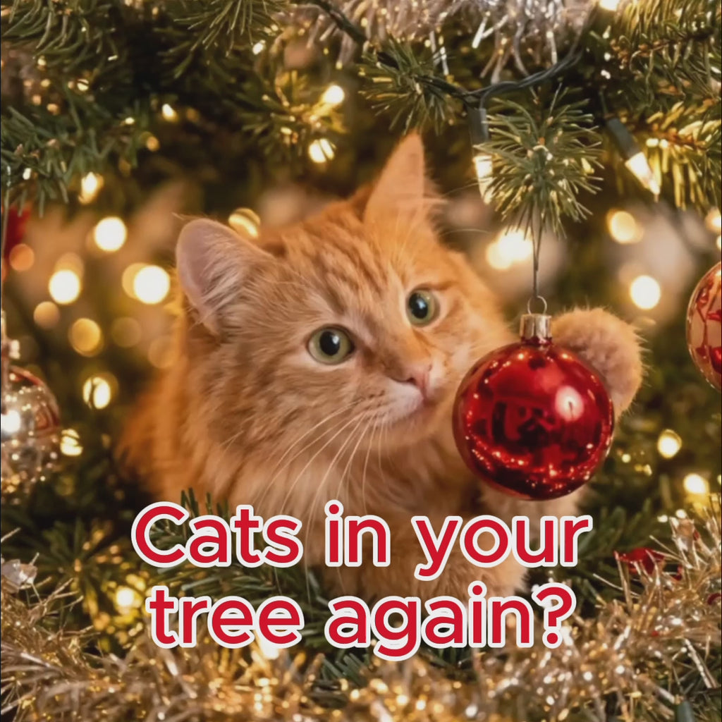 Shoo Ornament